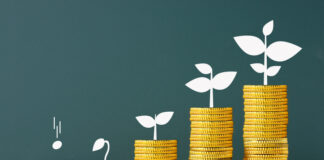 債権回収実務における弁護士が押さえておくべき戦略と留意点(テスト記事)